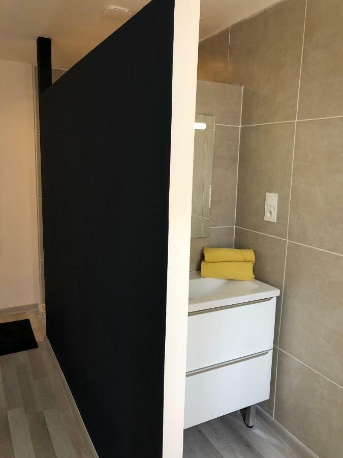 Fraichement Renove, Spacieux, Quartier Calme, Le Cocon De Lena การ์กาซอน ภายนอก รูปภาพ